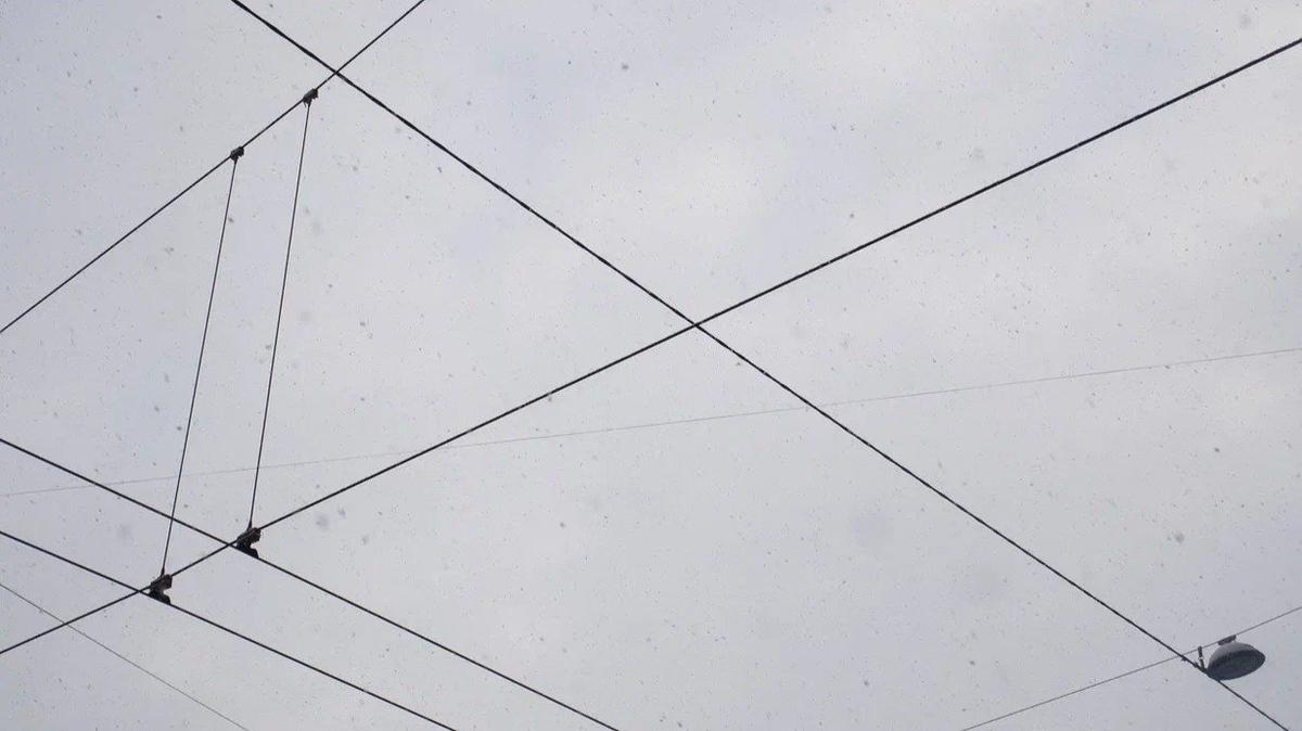 Фото: Дмитрий Абрамов / MR7