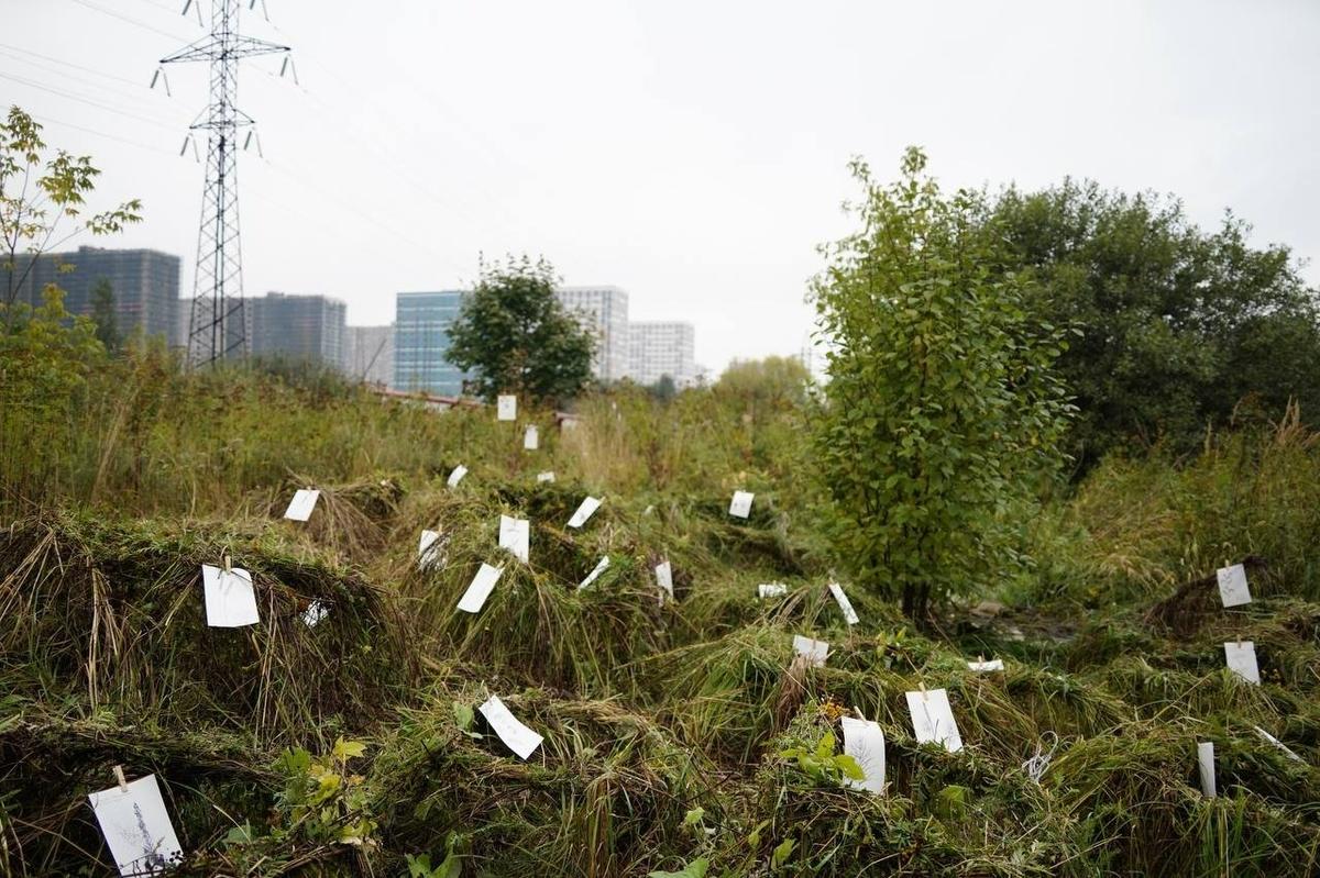 Фото: Павел Борисенко / MR7