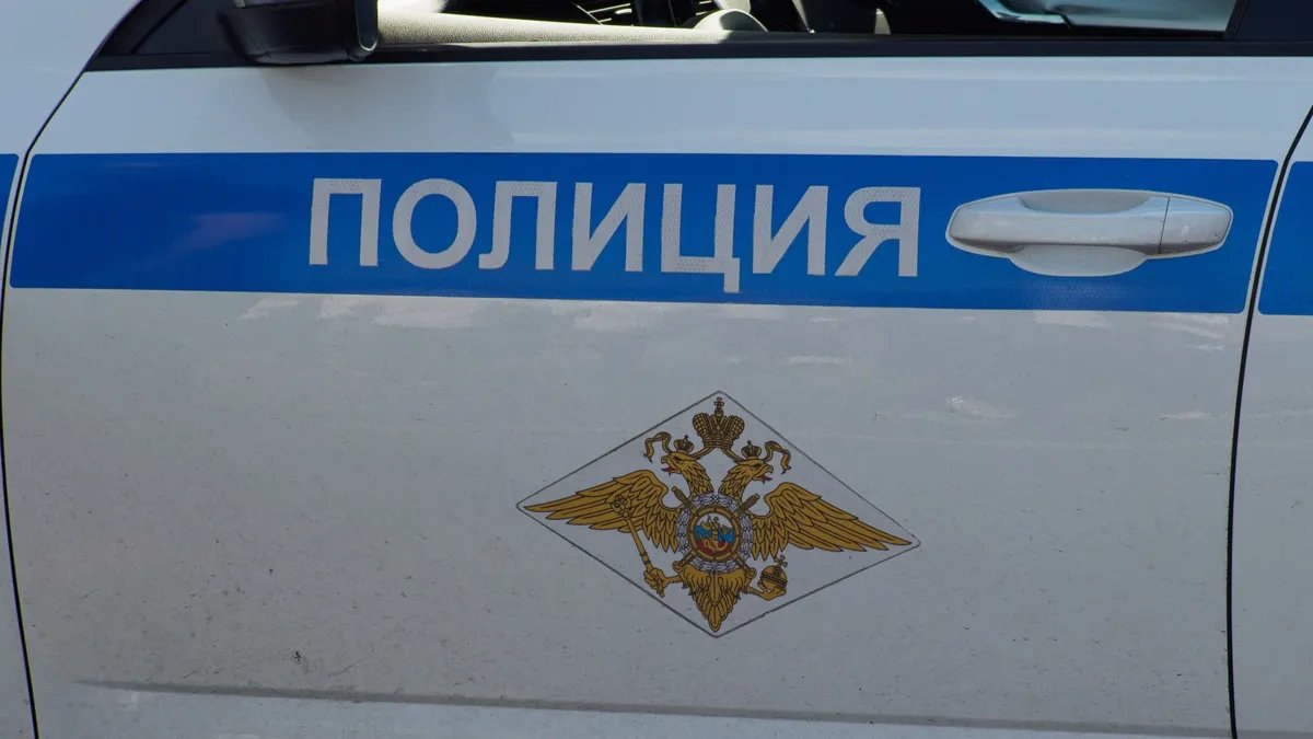 Фото: Дмитрий Абрамов / MР7