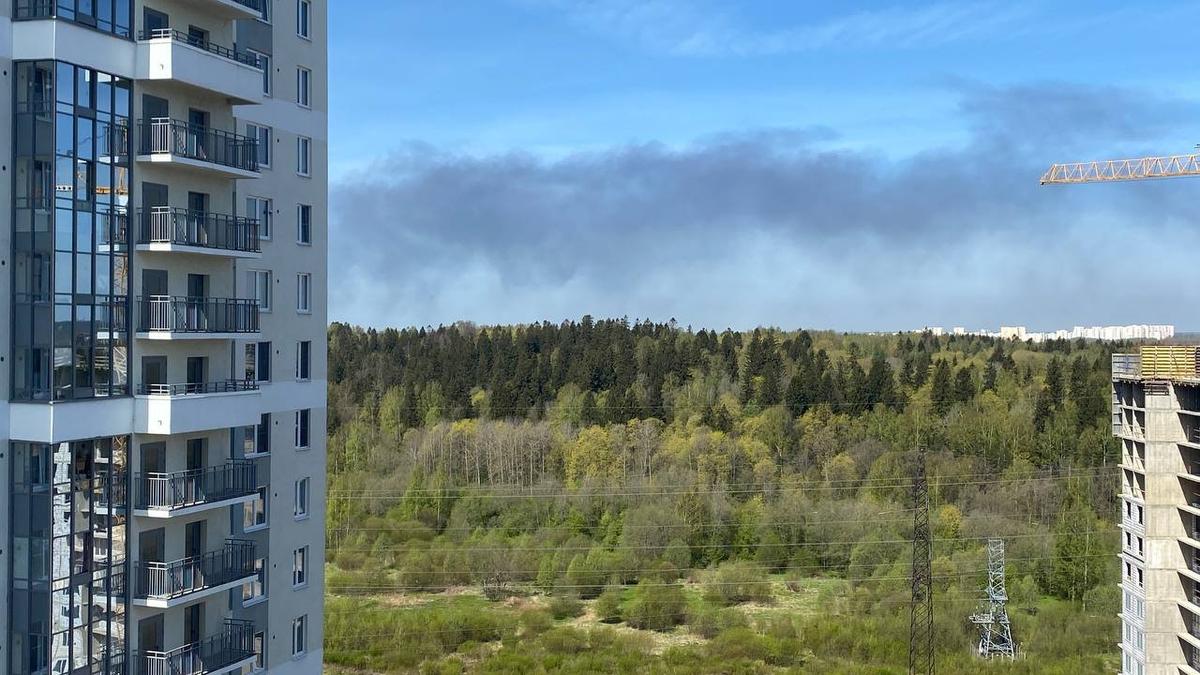 Пожар в Выборгском районе тушат по повышенному номеру сложности — там горит ангар