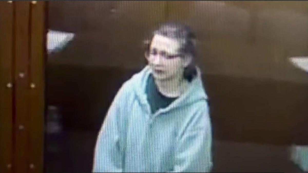 Елена Никитина. Скриншот видео судов общей юрисдикции Москвы