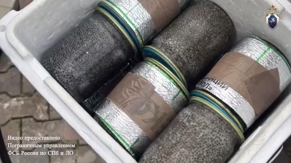 Скриншот видео: telegram-канал «Питерский Следком»