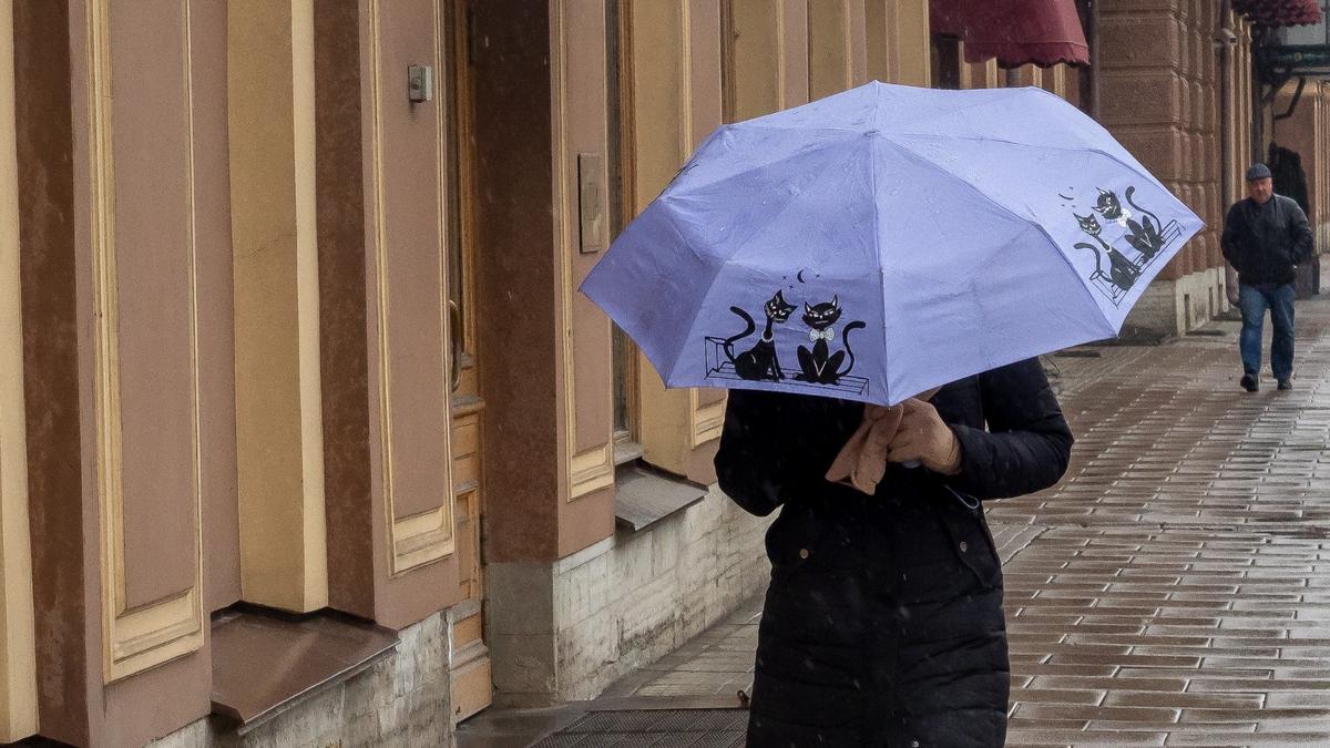 Фото: Олег Золото / МР7