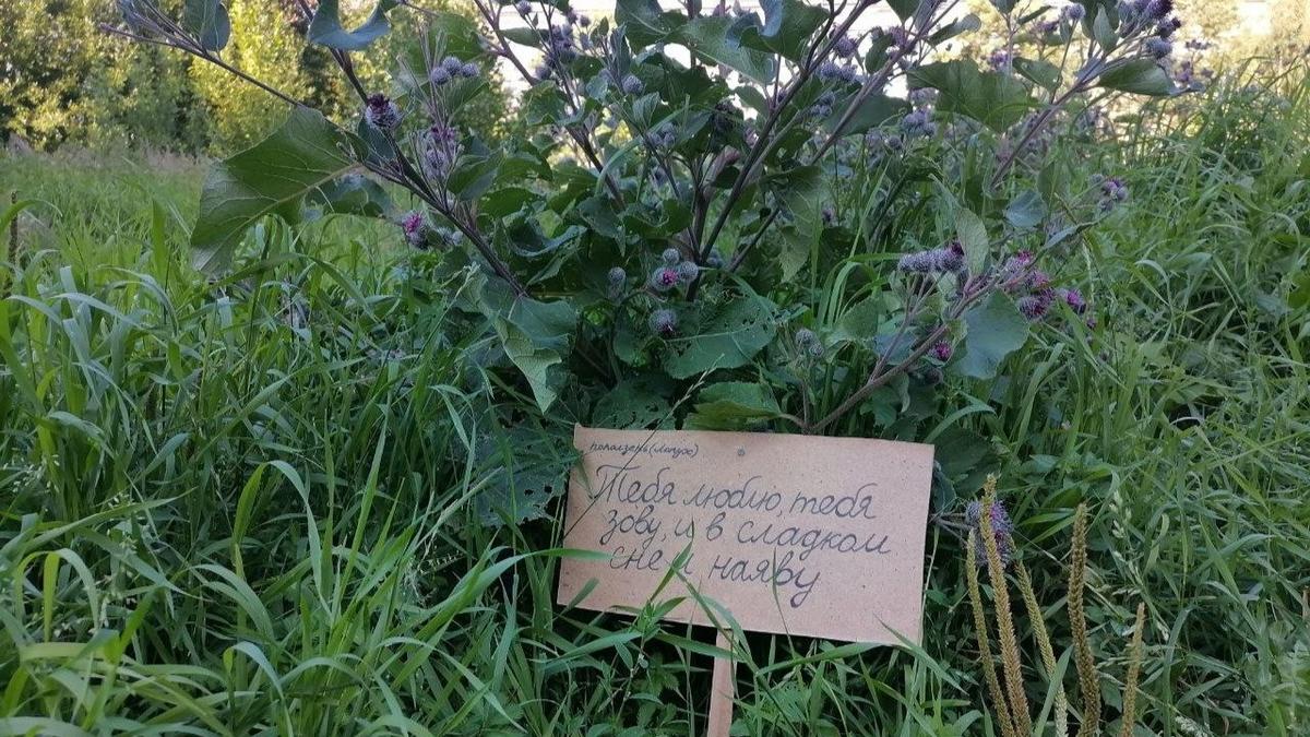 Фото: предоставлено организаторами