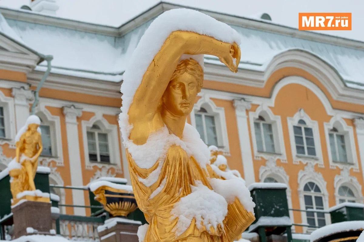 Фото: Олег Золото / MR7