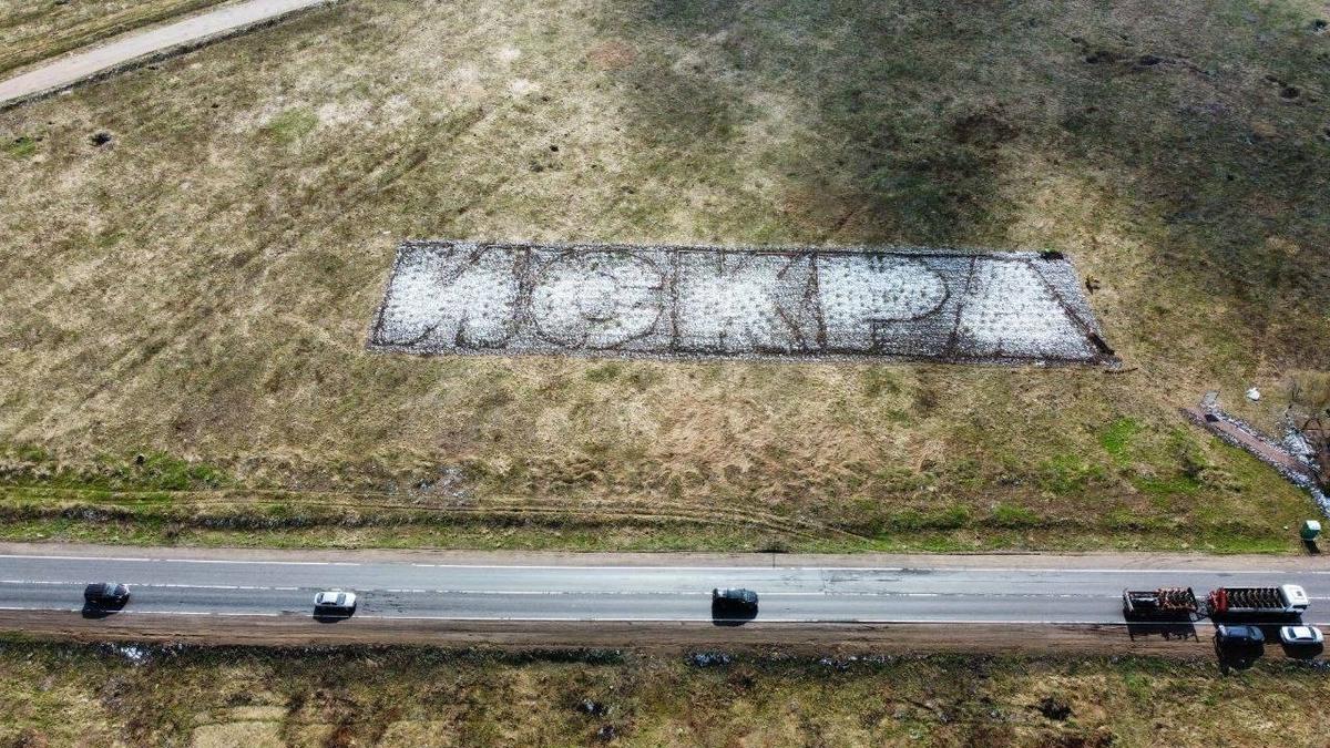 Фото: администрация Ленобласти