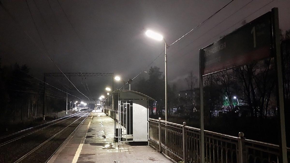 Фото: транспортная полиция по СЗФО