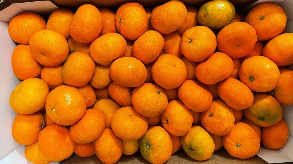 Фото: Россельхознадзора