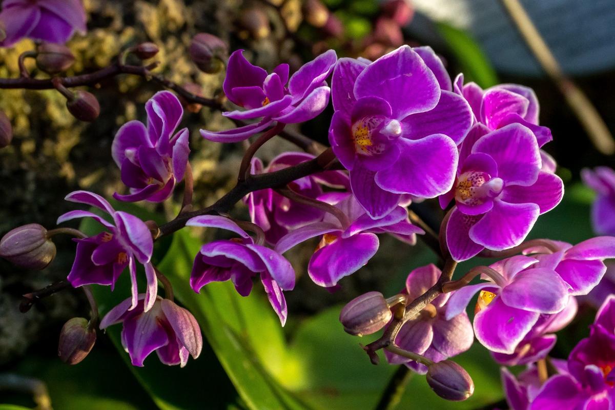 Фото: Олег Золото / MR7