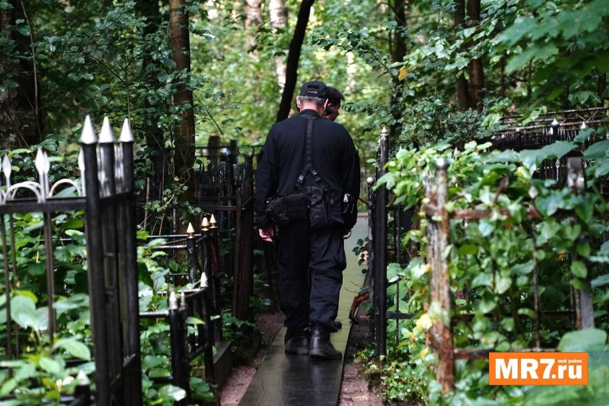 Фото: Павел Борисенко / MR7