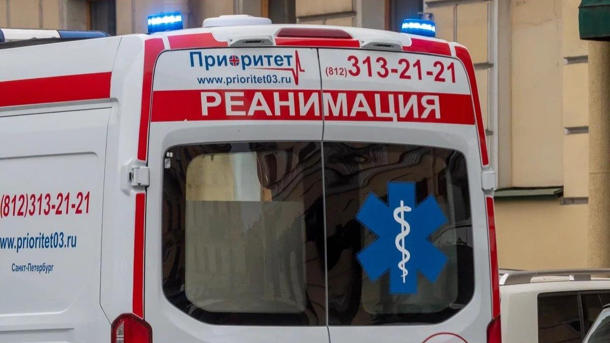 Фото: Олег Золото / МР7