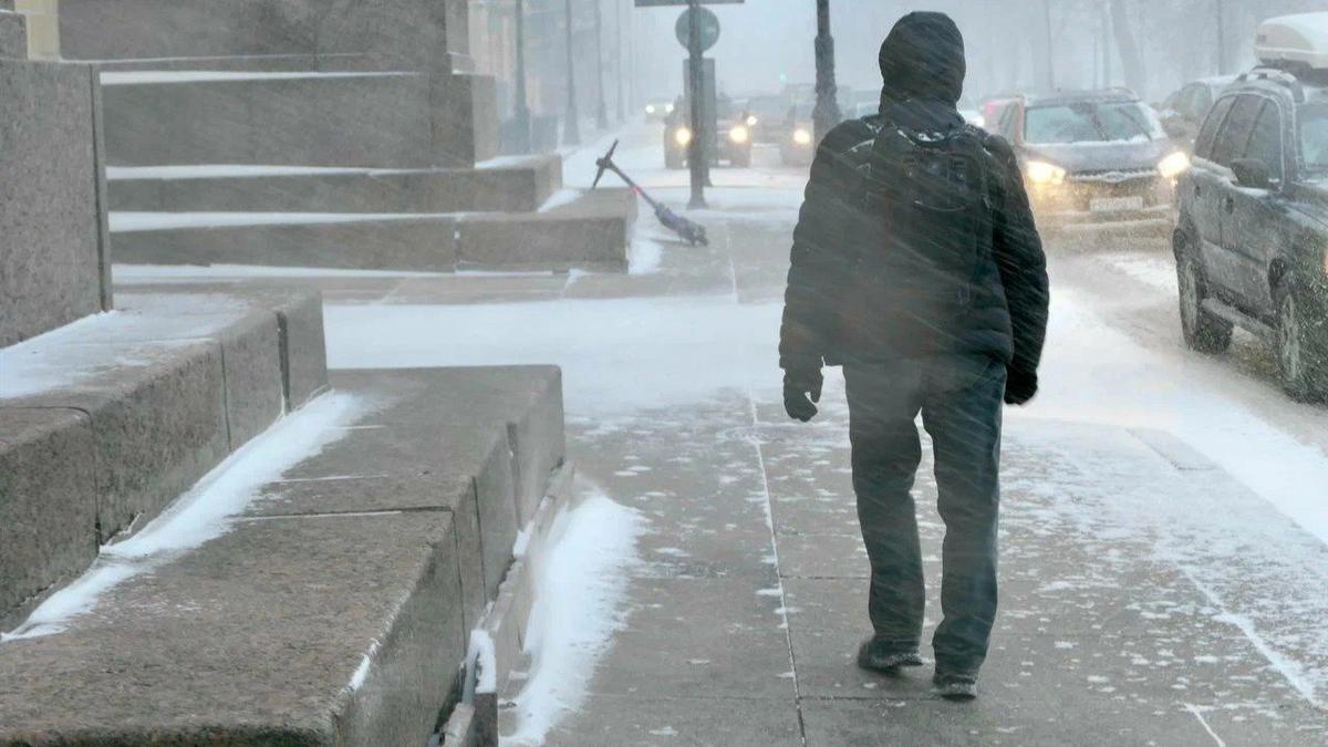 Фото: Павел Даиси / MR7