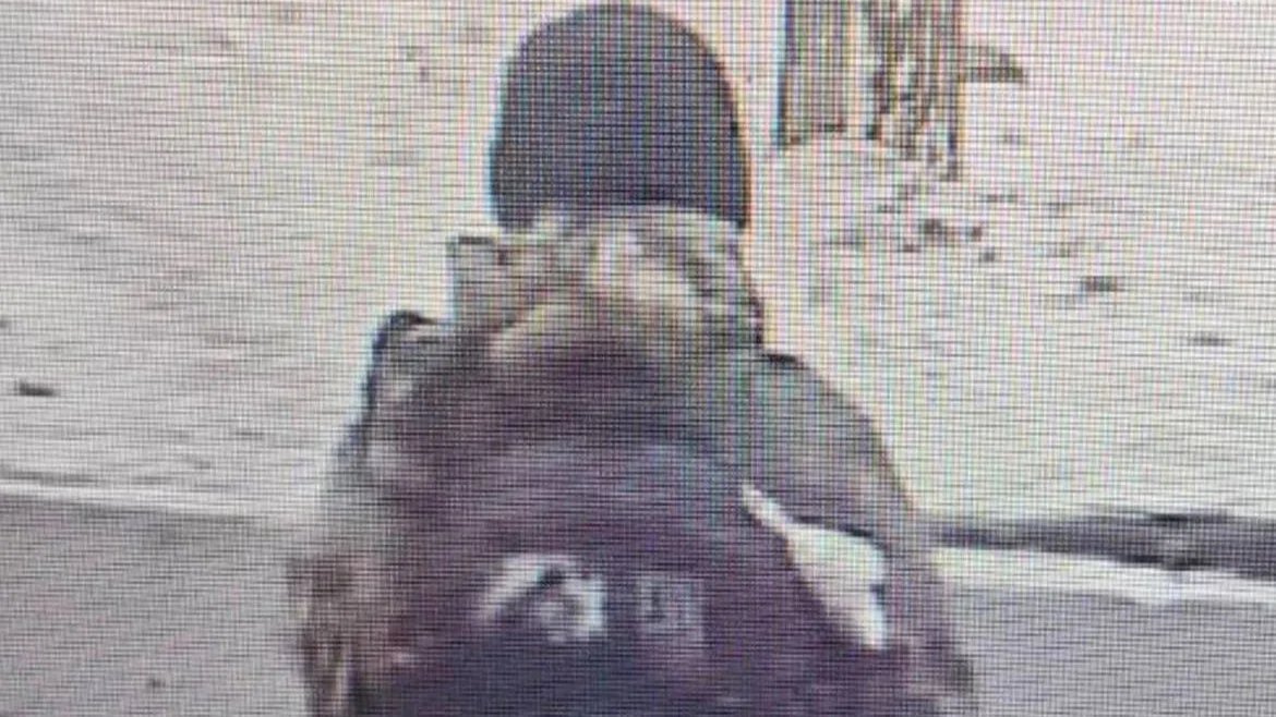 Фото: МВД по Петербургу и Ленобласти