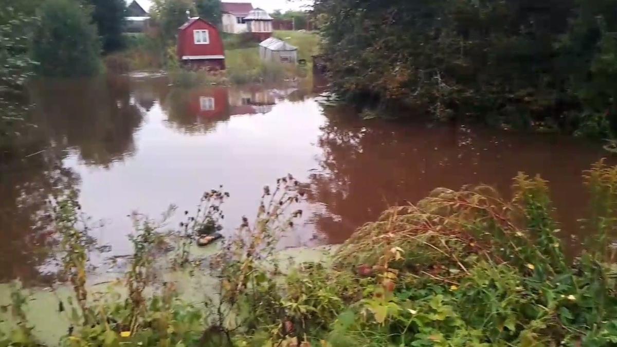 Скриншот видео: Аварийно-спасательная служба Ленобласти