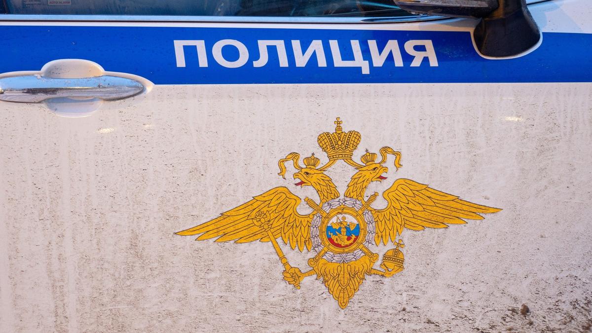 Фото: Дмитрий Абрамов / МР7