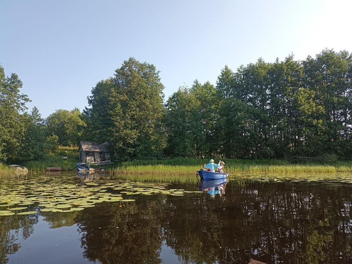 Работа по описанию прибрежно-водной растительности мелководий Вачозера. Фото: Иван Белкин