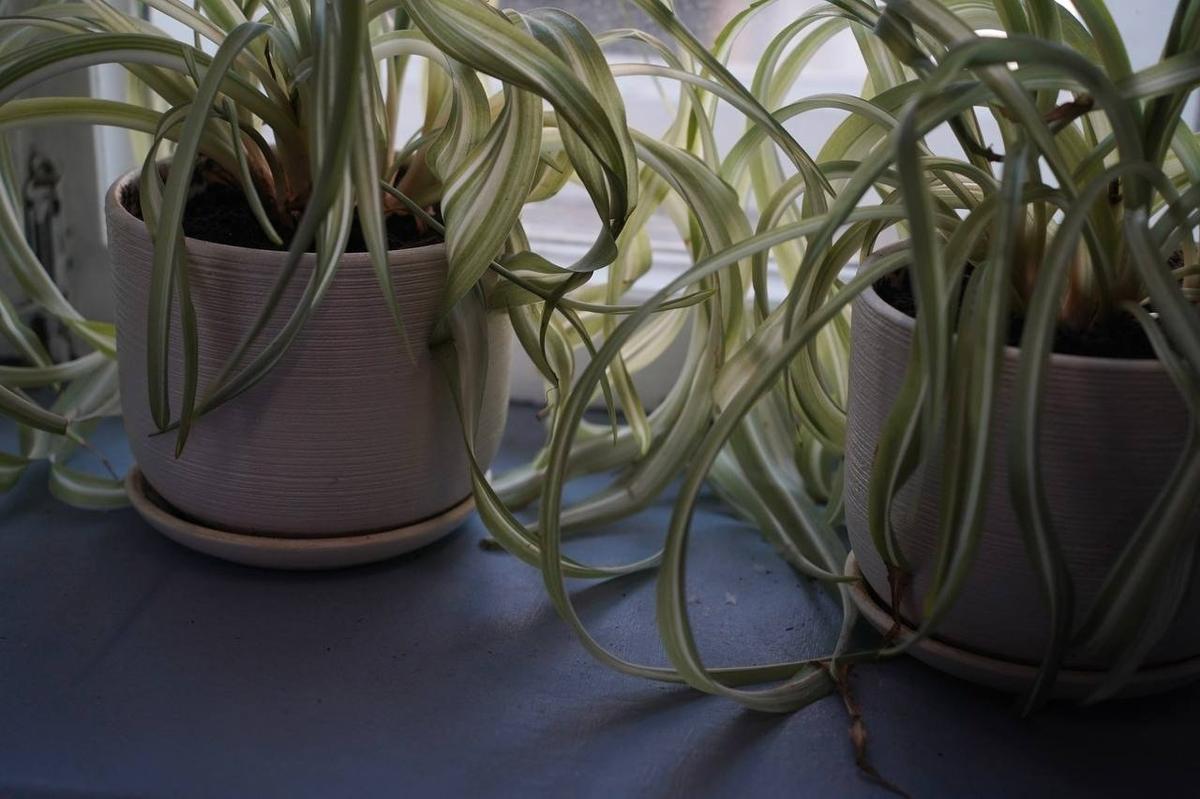 Фото: Павел Борисенко / MR7 /