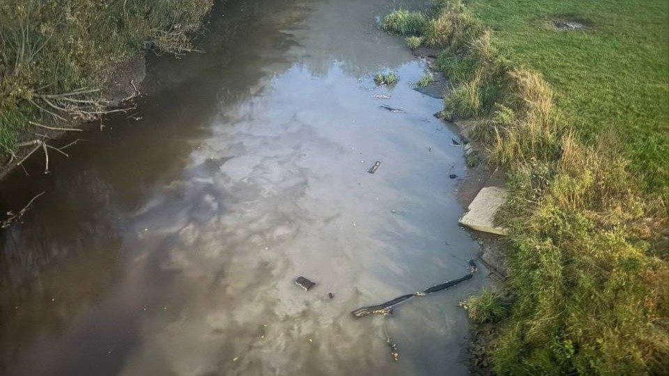 Фото: росприроднадзор