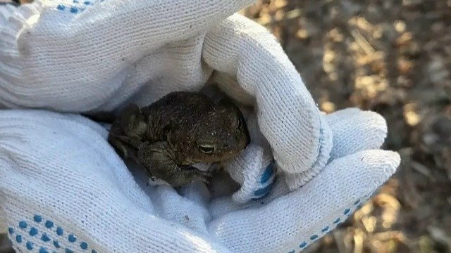 Фото: комитет по природопользованию Петербурга
