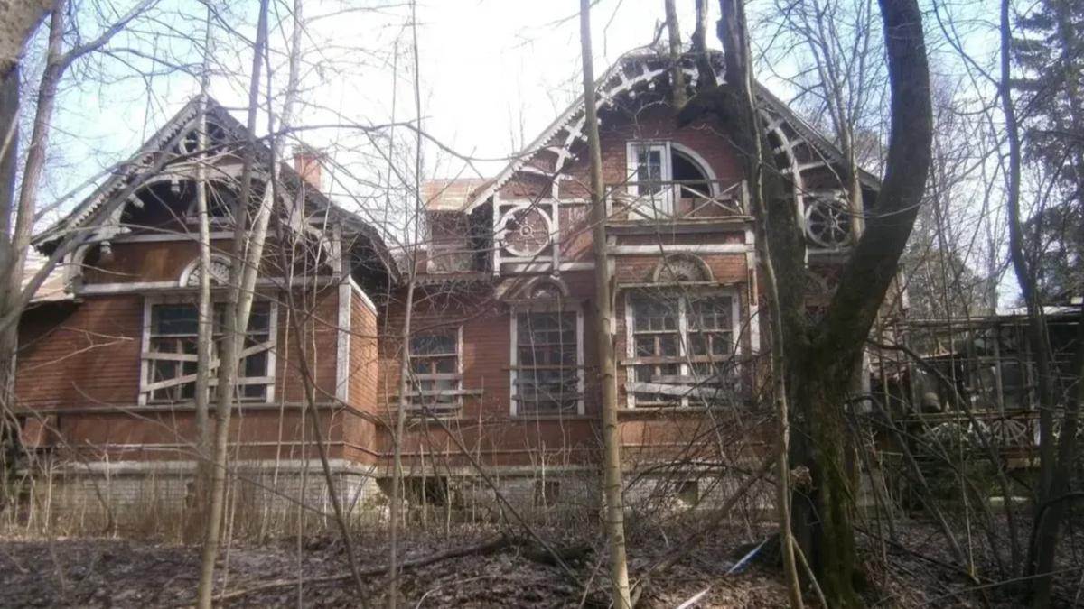 Петербургские градозащитники встретились с представителями СК