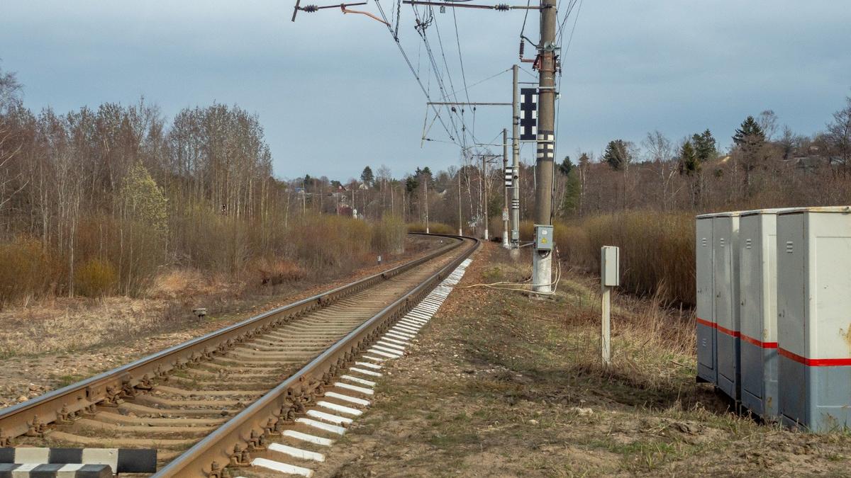 Фото: Олег Золото / МР7