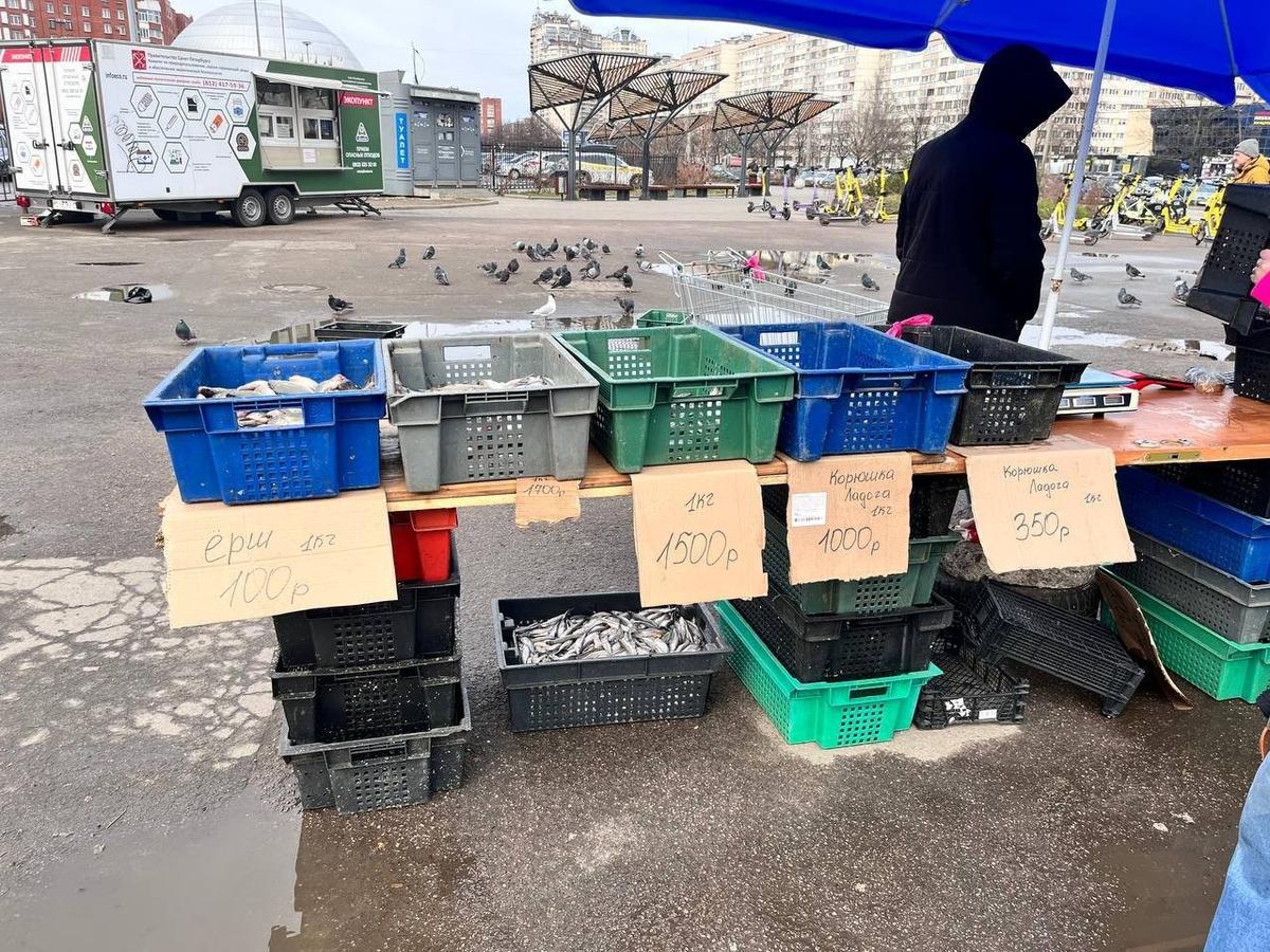 Фото: Любовь Смирнова / МР7