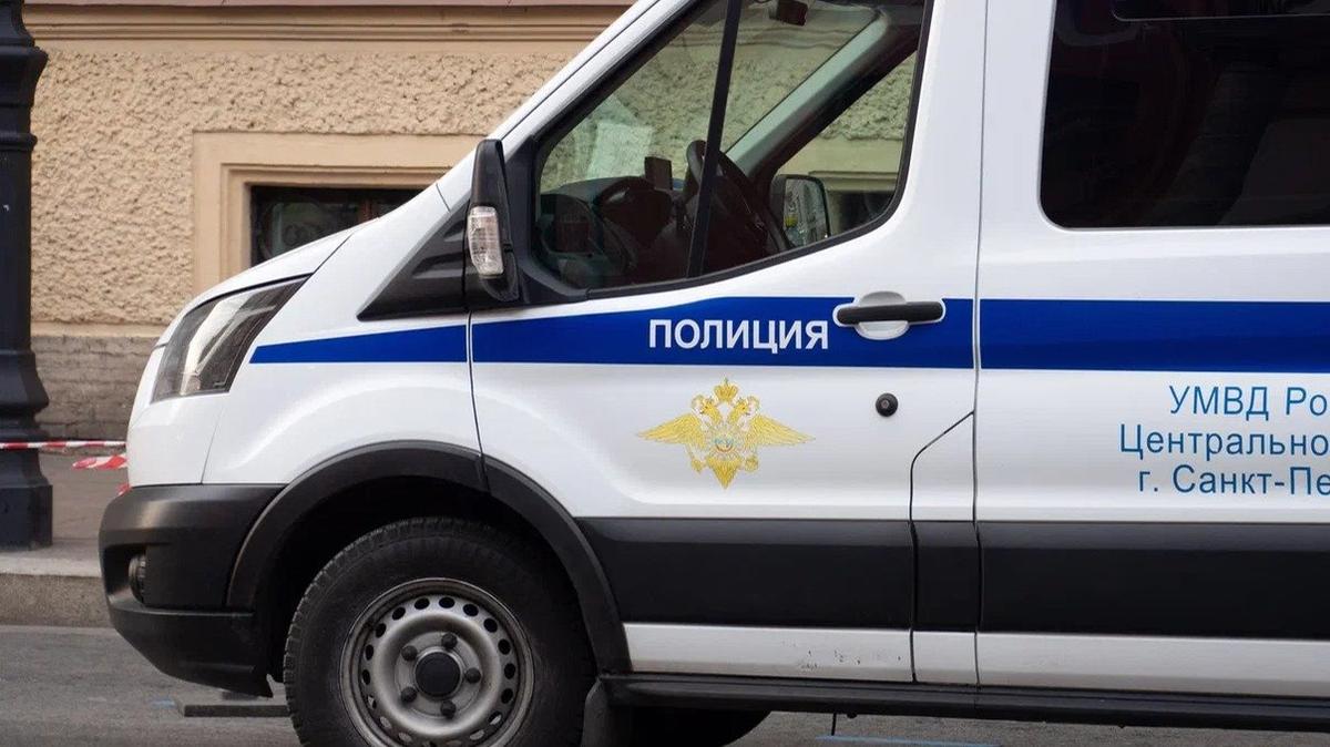 В Петербурге возбудили уголовное дело в отношении мужчины, который пытался наехать мини-погрузчиком на сотрудника полиции
