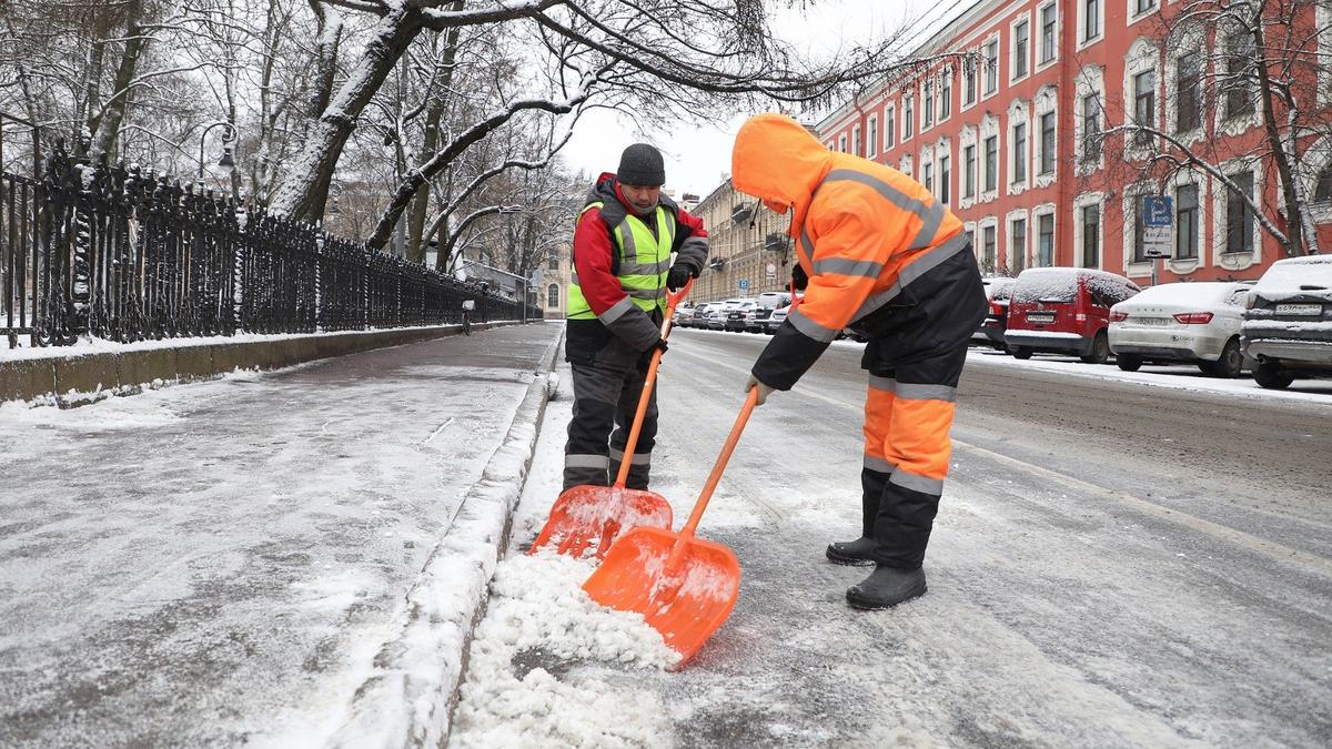 Фото: комитет по благоустройству Петербурга