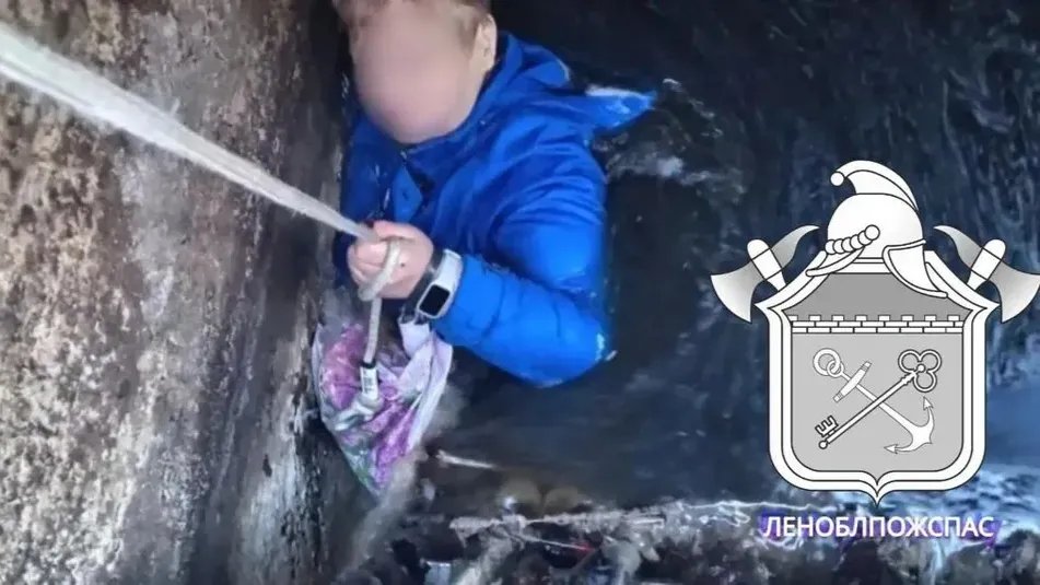 Фото: ГКУ «Леноблпожспас»