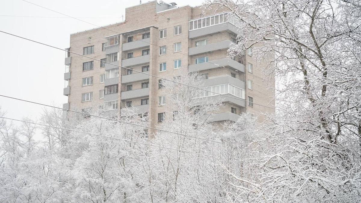 Фото: Павел Борисенко / MR7