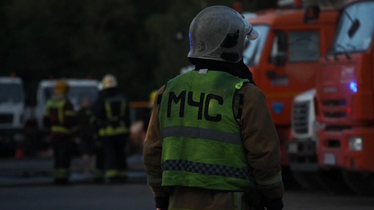 Фото: Павел Борисенко / МР7