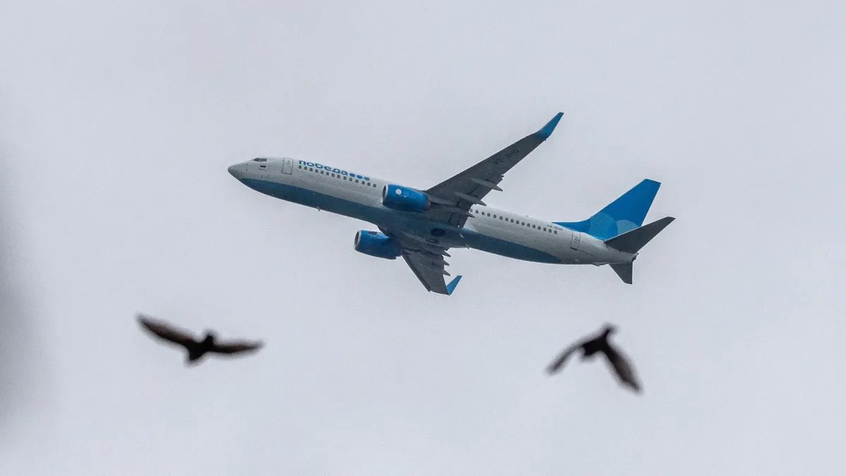 Фото: Олег Золото / МР7