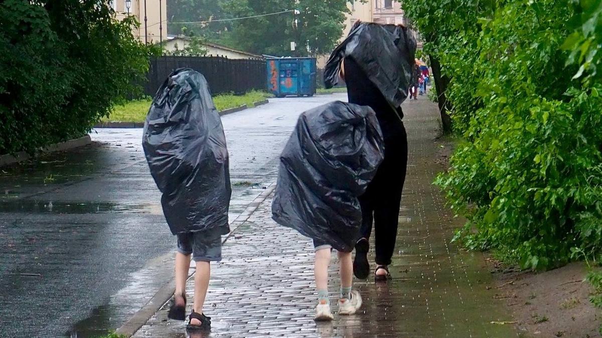 Водоканал: за сутки в Петербурге выпало более трети месячной нормы осадков  | 08.07.2024 | Санкт-Петербург - БезФормата