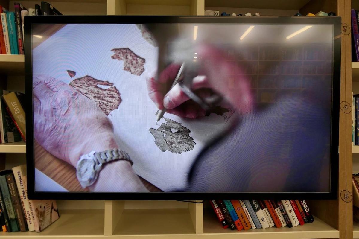 Фото: Павел Даиси / MR7