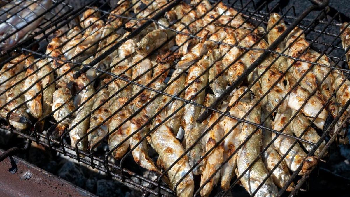 Фото: Олег Золото / МР7