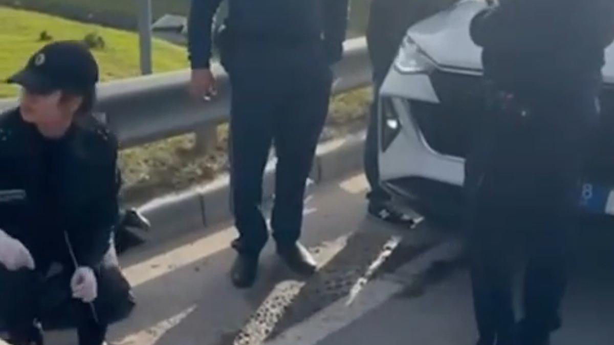 Скриншот видео ГУ МВД по Петербургу и Ленобласти