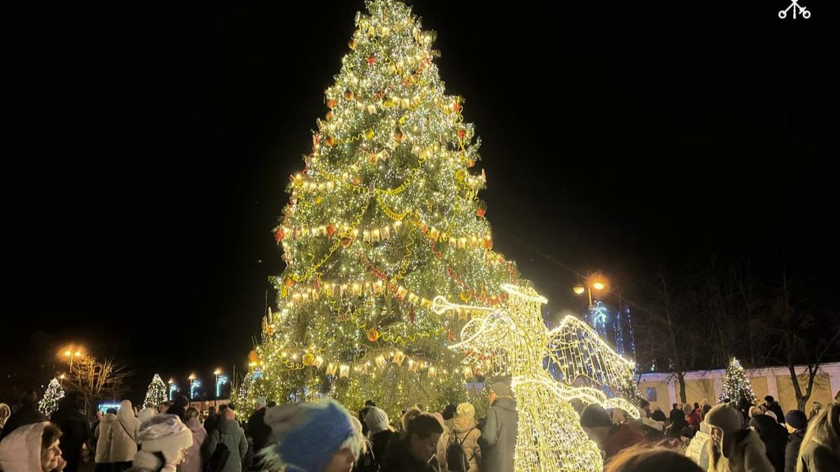 Фото: Смольный