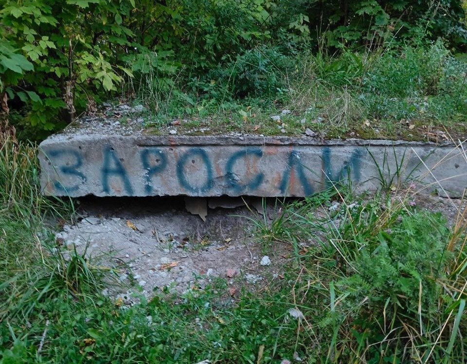 Фото: Александра Полищук