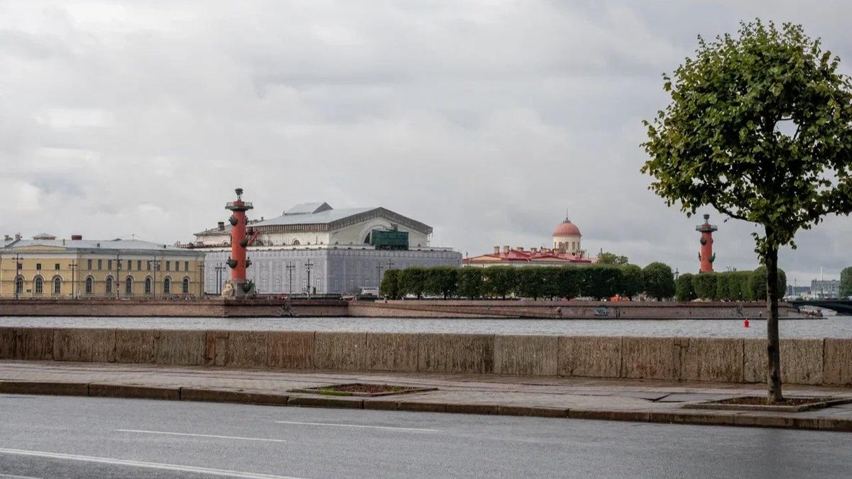 Фото: Олег Золото / МР7