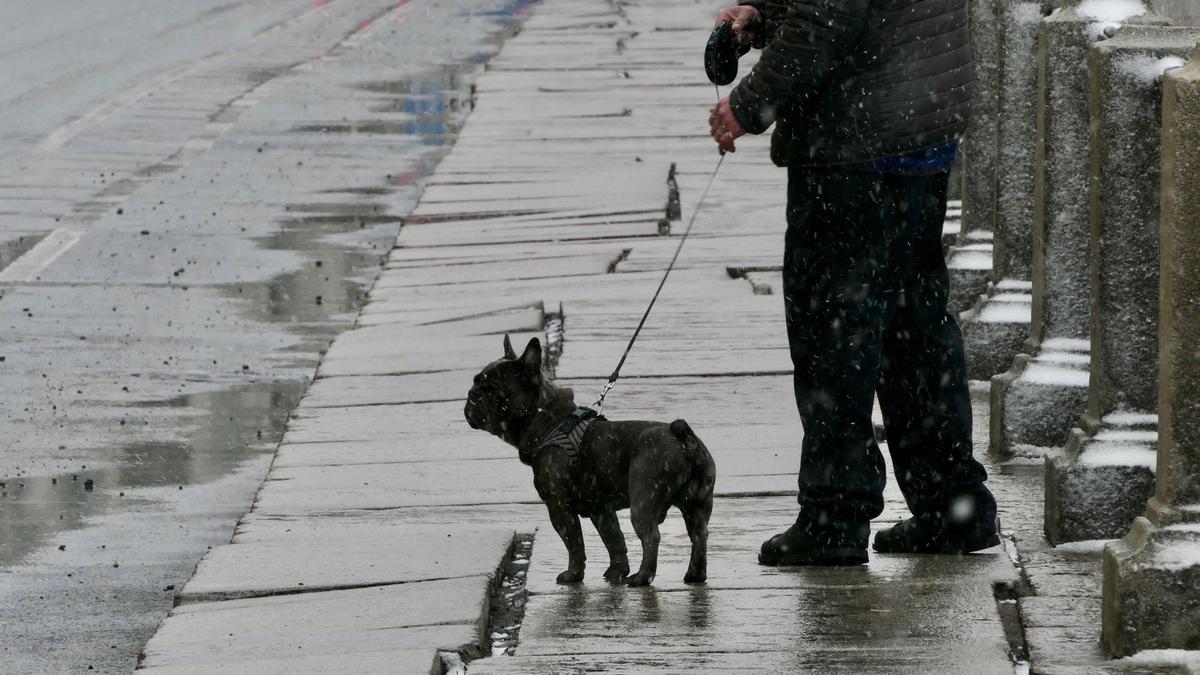 Фото: Павел Даиси / МР7