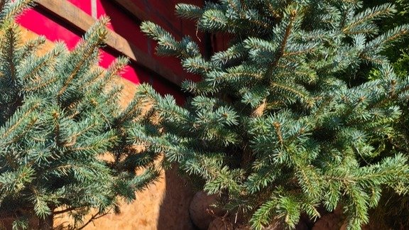 Фото: Россельхознадзор