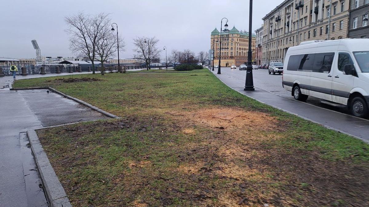 Фото: «Заросли — Парк на Малой Неве»