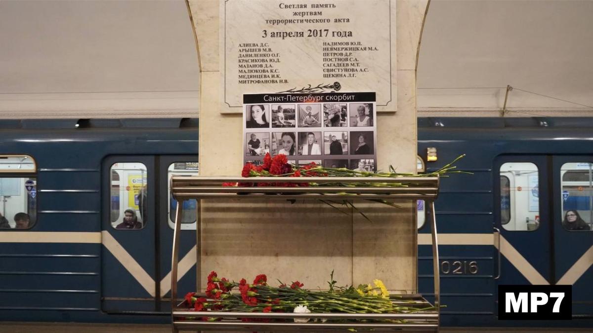 Фото: Павел Борисенко / MР7