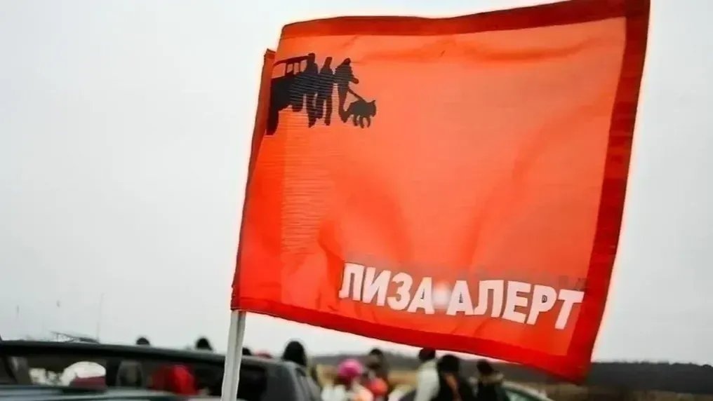 Фото: поисковый отряд «ЛизаАлерт» Питер