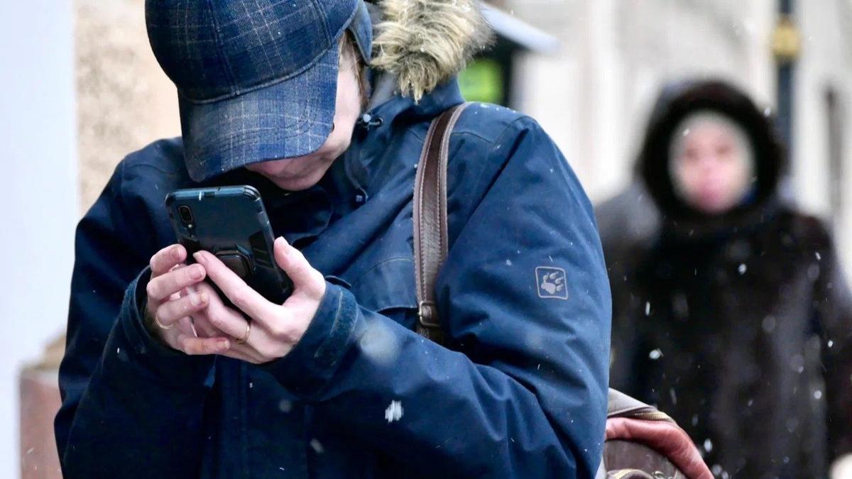 Фото: Павел Даиси / MR7