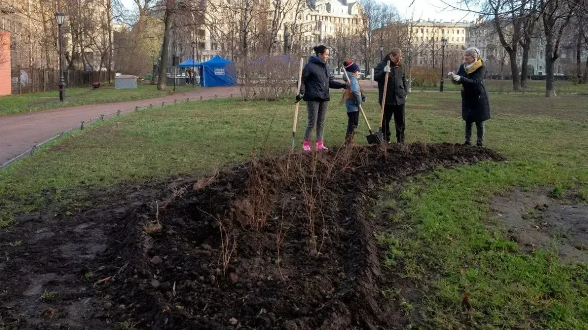Петербуржцев приглашают высаживать деревья и кустарники в городских парках