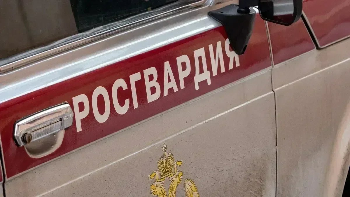 Пытавшегося разбить свой телефон закладчика задержали в Петроградском районе