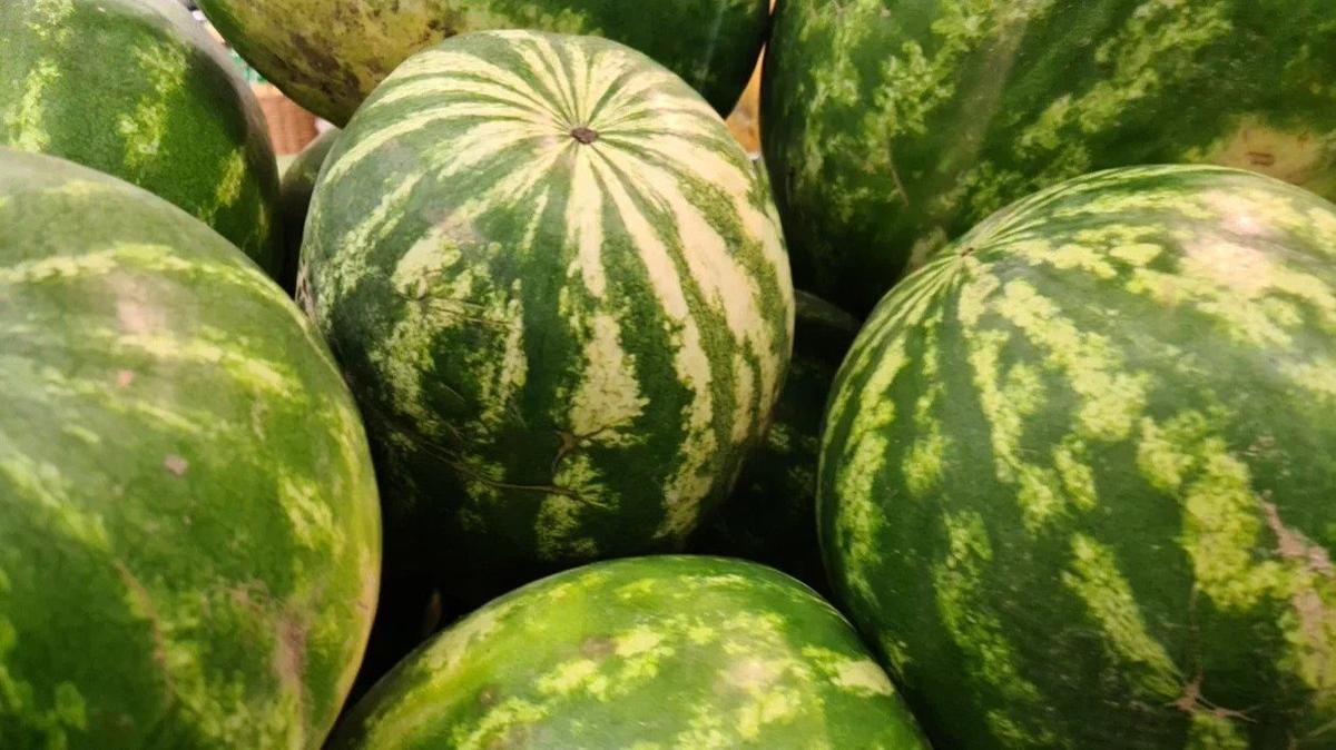 На севере Петербурга на продавца арбузов напали с ножом после отказа сделать скидку