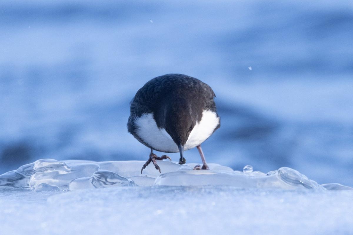 Фото: Катя Стрельникова / «Астрофотоболото»
