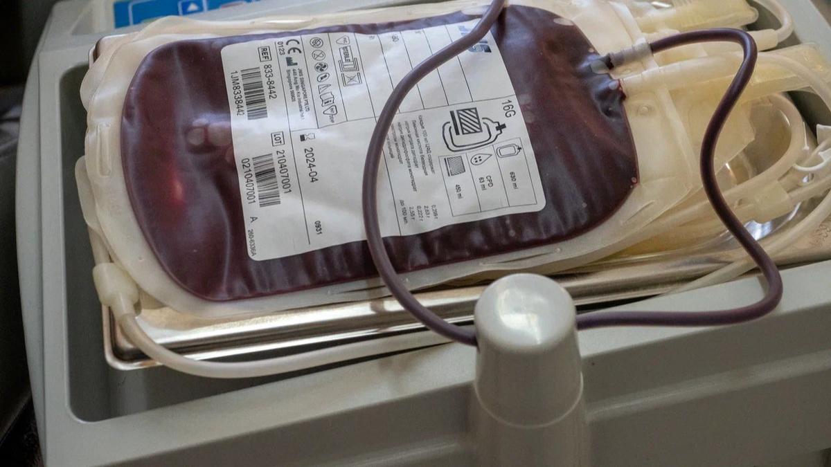 Фото: Олег Золото / MR7